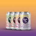 Kombucha 12-pack Säsongssmaker